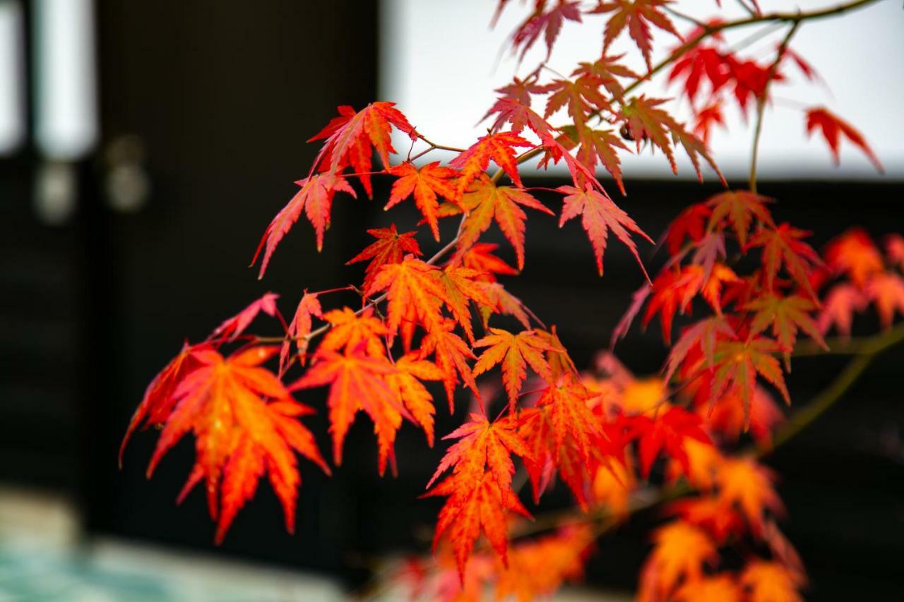 Yufuin Lamp No Yado Hotel Exterior photo